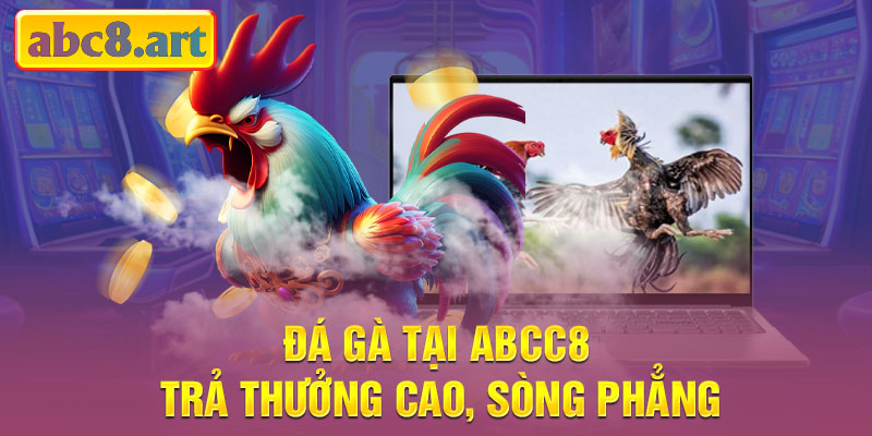 Đá gà Abcc8 trả thưởng cao, sòng phẳng